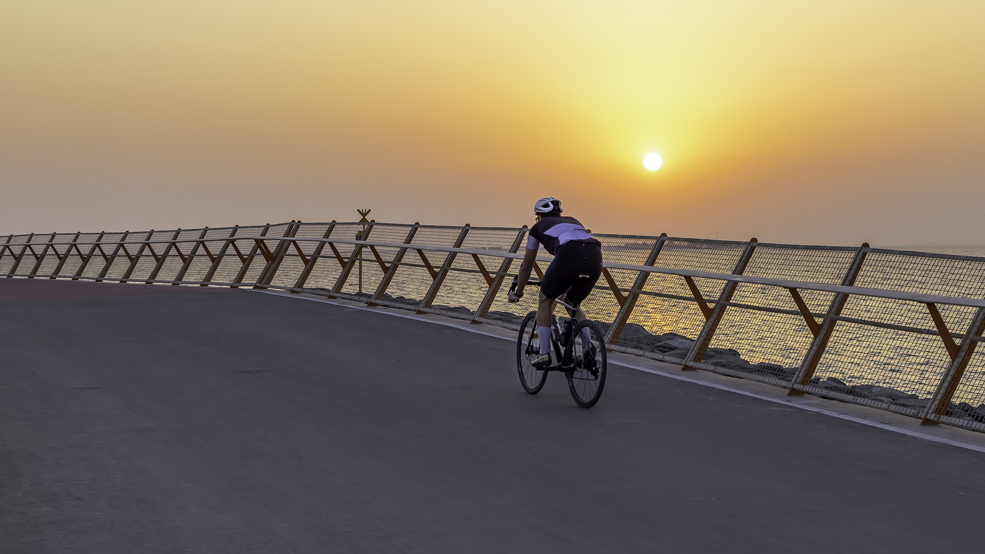 Cyclists enjoying the Hudayriyat Island.