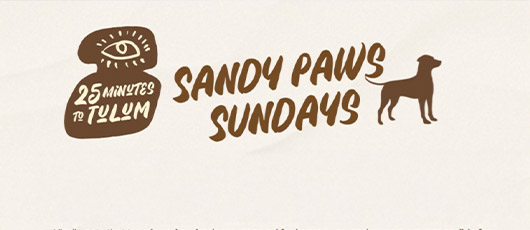 Sandy Paws Sundays