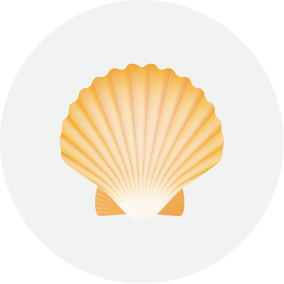 Shells